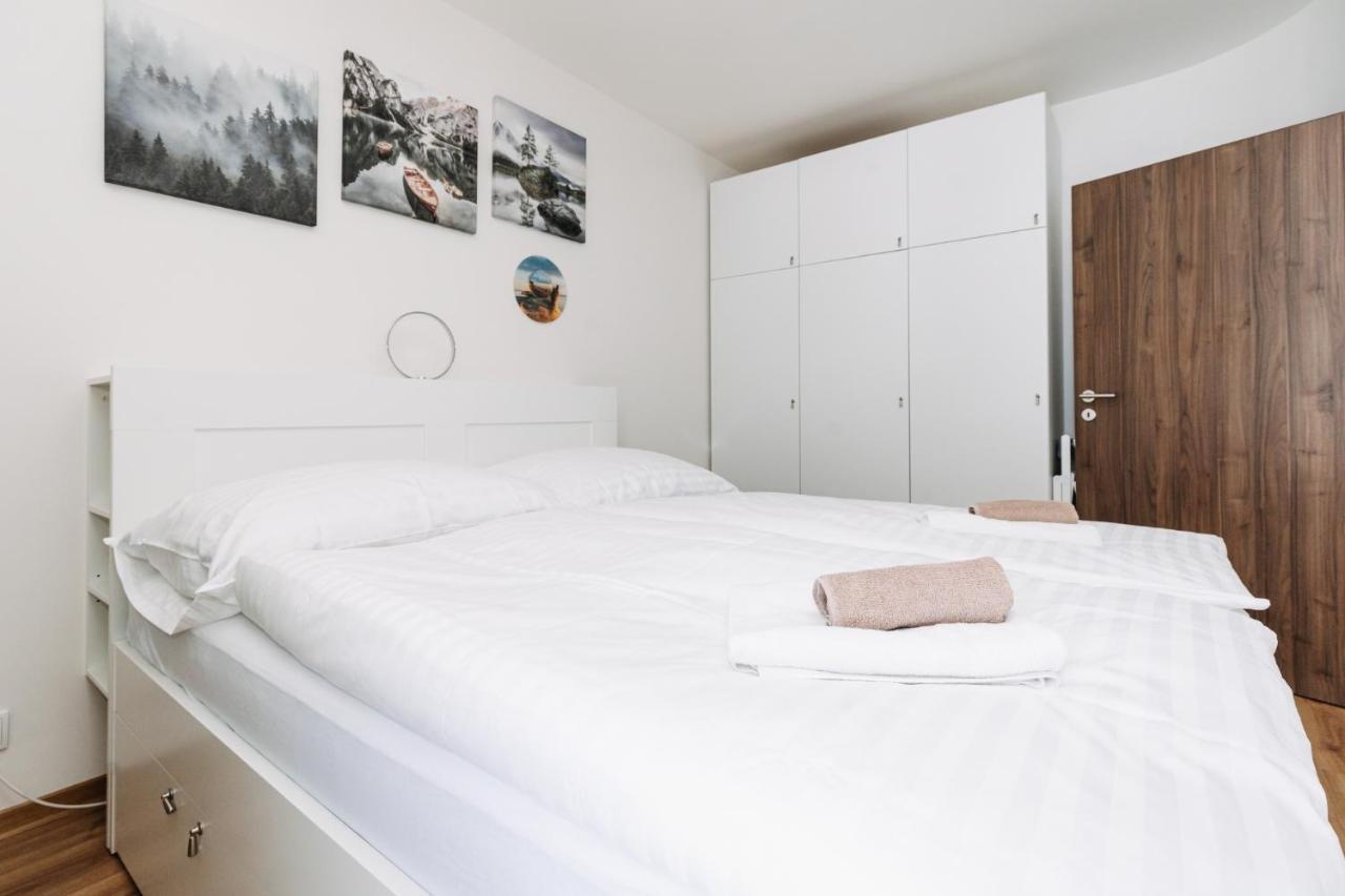 Horsky Apartman Temari 14 Klinovec Loucna pod Klinovcem Ngoại thất bức ảnh